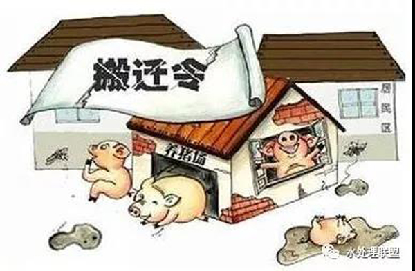 養(yǎng)殖場收到環(huán)保整改通知書該怎么辦?關(guān)于畜牧養(yǎng)殖的環(huán)保法律