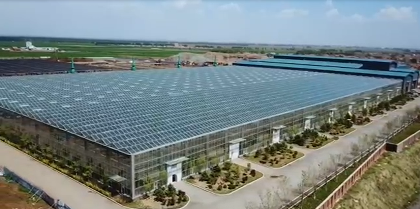 沈陽污泥制磚項(xiàng)目